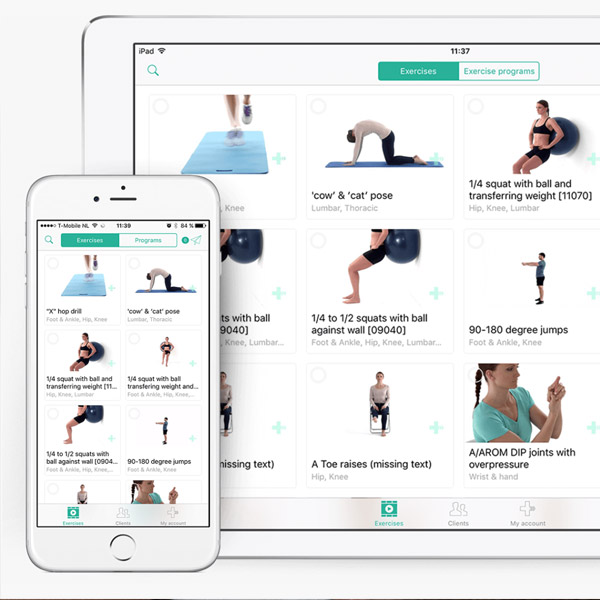 Stage 2. Exercise program